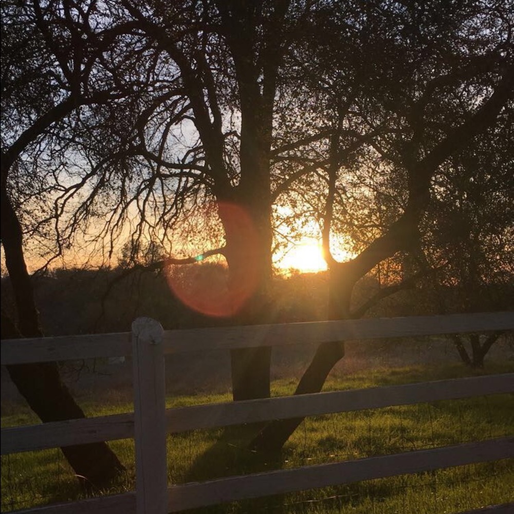 Meet your Posher, Sayra